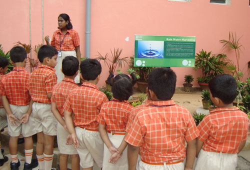 Rainwater Harvesting